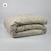 Jorgan 300g - v19 | Aspen & Zermat